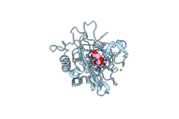 2RDR image