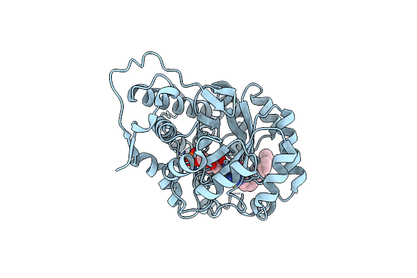 2RDT image
