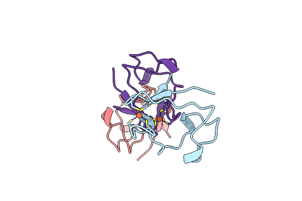 2RDV image