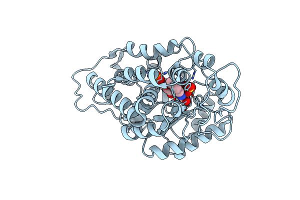 2RDW image
