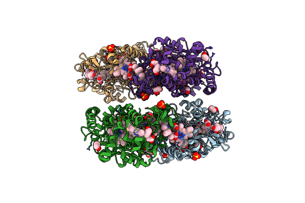 2RDZ image