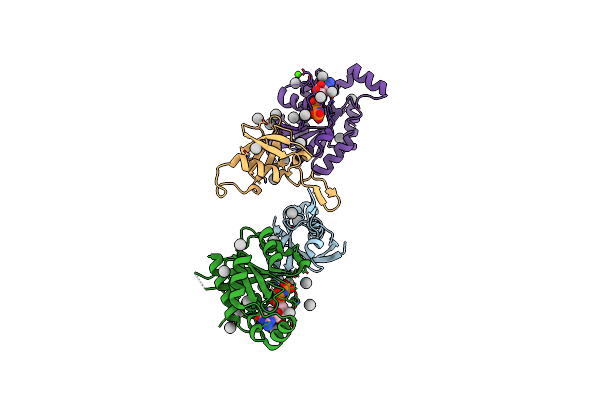 2REX image
