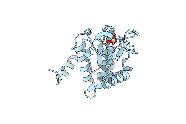 2RF6 image