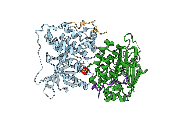 2RFD image
