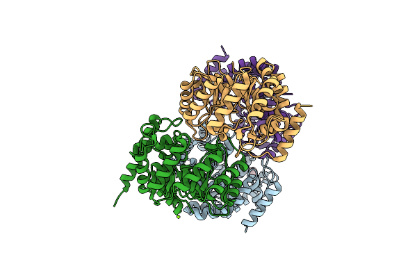 2RFG image