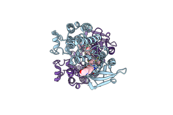 2RFN image