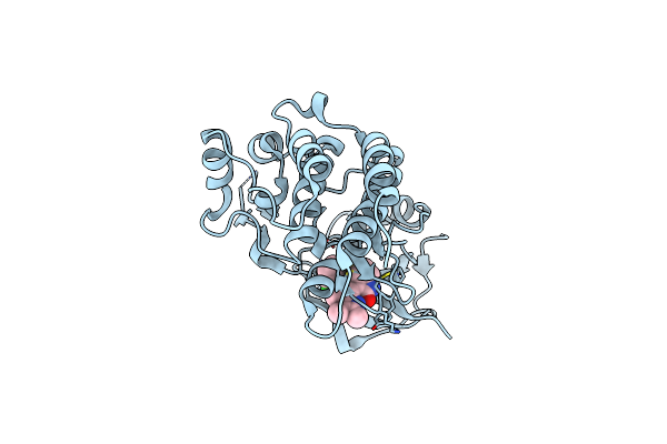 2RFS image