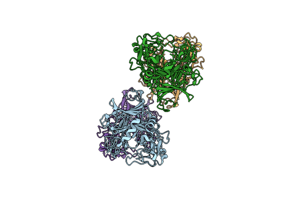 2RFW image