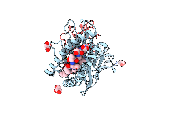 2RFX image