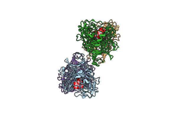 2RFZ image