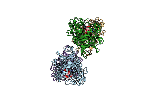 2RG0 image