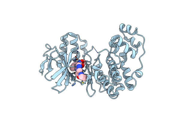 2RG5 image