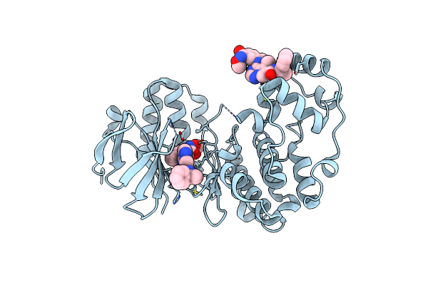 2RG6 image