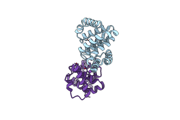 2RG8 image