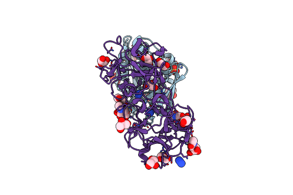 2RG9 image