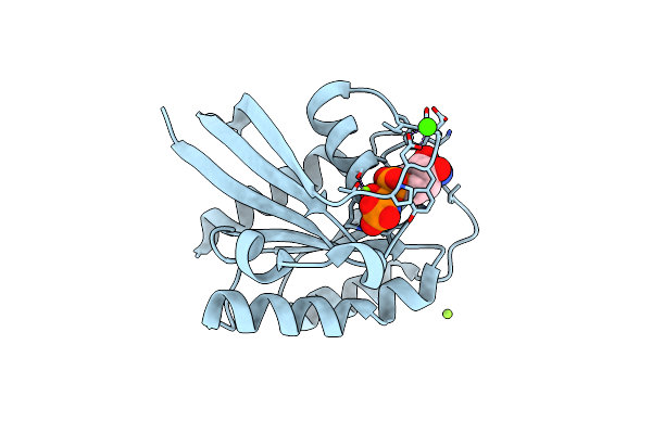 2RGA image