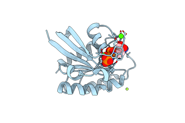 2RGC image