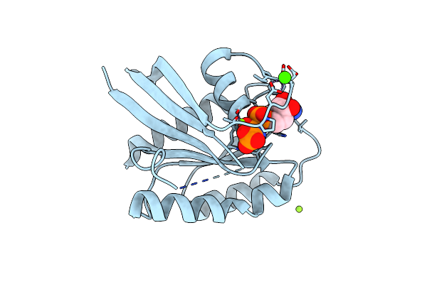 2RGE image