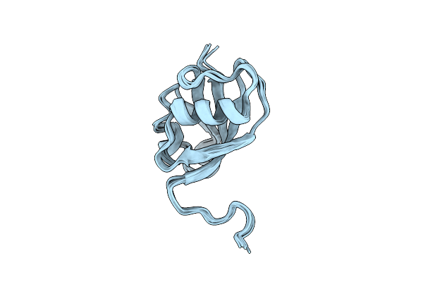 2RGF image