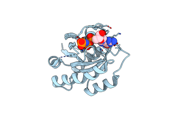 2RGG image