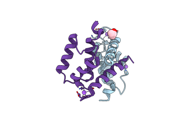 2RGI image