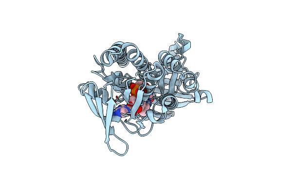 2RGJ image