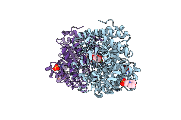 2RGM image