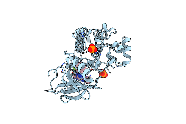 2RGP image
