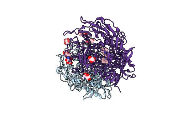 2RGU image