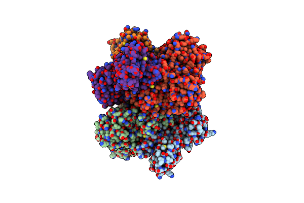 2RHB image