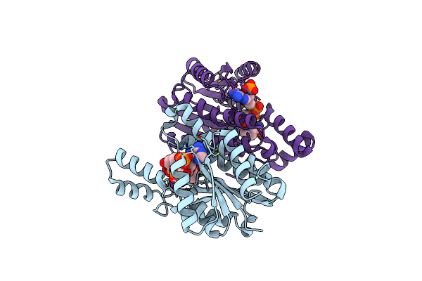 2RHC image