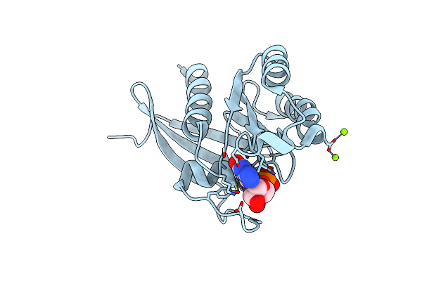 2RHD image