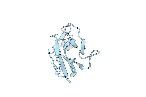 2RHE image