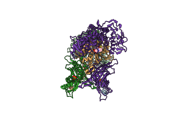 2RHS image
