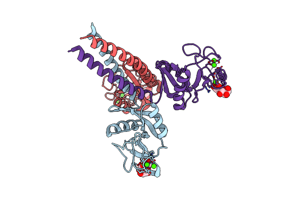 2RIB image