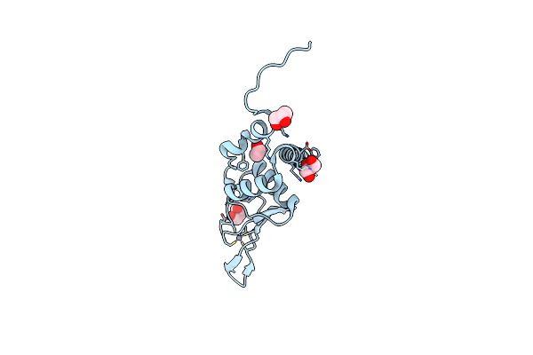 2RIQ image