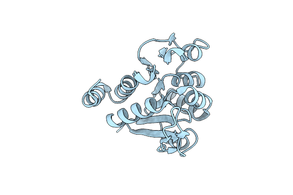 2RK6 image