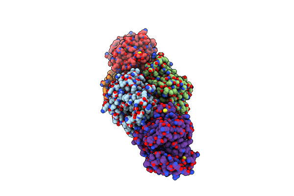 2RKB image
