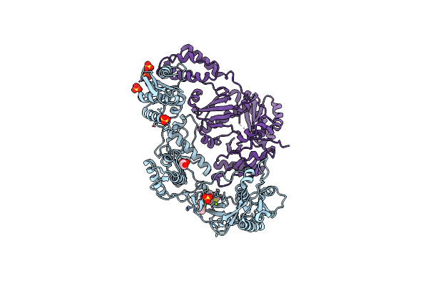 2RKI image