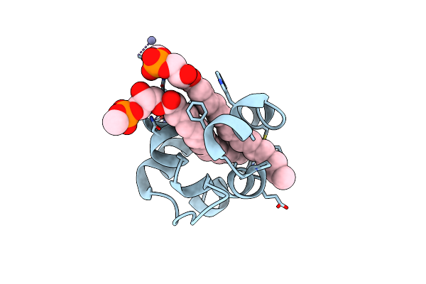 2RKN image