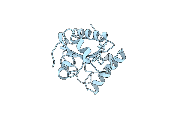 2RKQ image