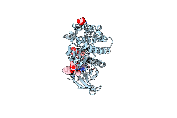 2RKU image