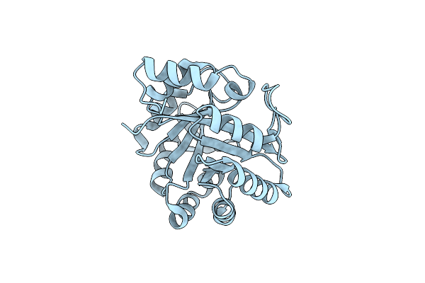 2RKX image