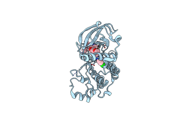 2RL5 image