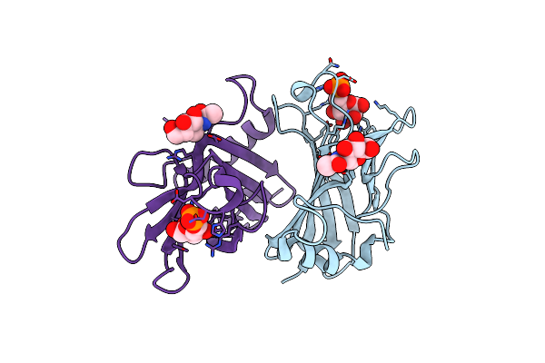 2RLB image