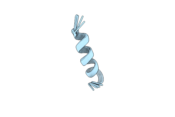 2RLG image