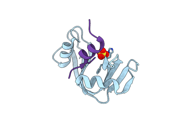 2RLN image
