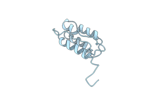 2RLT image