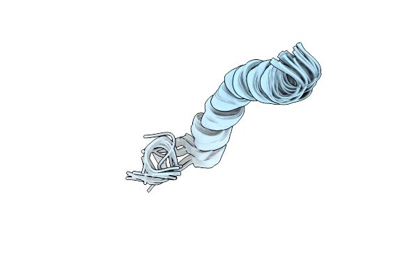 2RLW image