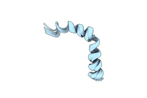 2RMD image